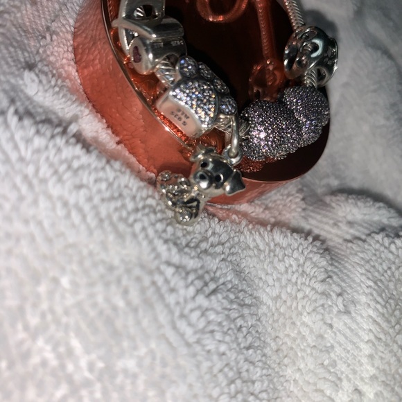 Pandora Bracelet - Picture 11 of 11